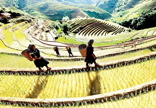 Mùa du lịch 30/4 hút khách mạnh