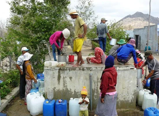 Ninh Thuận quay cuồng trong nắng hạn