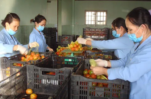 Tăng vốn cho chương trình bình ổn thị trường