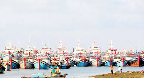 Ngư dân Sóc Trăng yên tâm bám biển