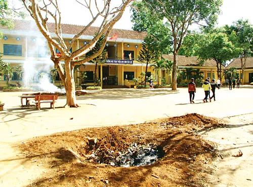 Đắk Lắk: Cây cổ thụ ở sân trường bị đào bán