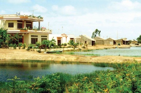 Elevated houses in the Mekong Delta province of Long An's Tan Lap Commune. Prime Minister Nguyen Tan Dung has given the greenlight to the second phase of a programme to build more elevated houses for residents in the delta. — VNA/VNS Photo Pham Do