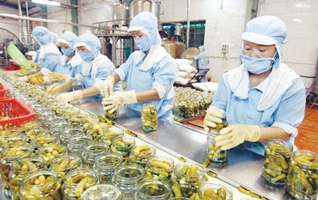 Workers at a GOC Export Food Processing JSC pickle production line in the northern province of Bac Giang. Businesses were encouraged to participate more in the agricultural sector to help develop a large-scale, hi-tech farming industry. — VNA/VNS Photo Vu Sinh