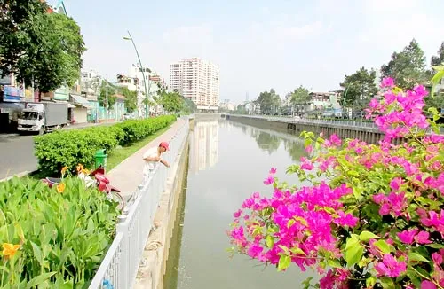 Bài 5: Xóa nhà tạm trên kênh rạch và khu đô thị kiểu mẫu