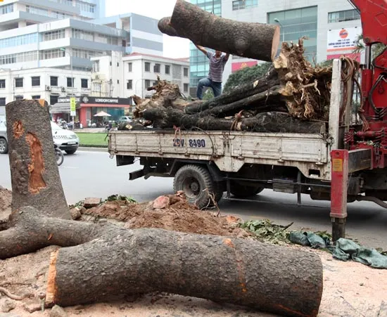 Khiếu nại tố cáo đông người vẫn tăng