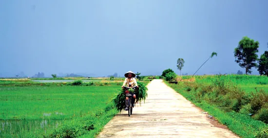 Ánh sáng mới ở xã Bình Dương