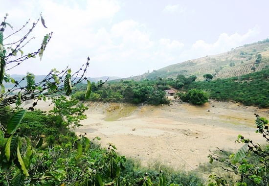 Some places in the area of Binh Thuan have fallen in serious water shortage in life and planting. (Photo:SGGP)
