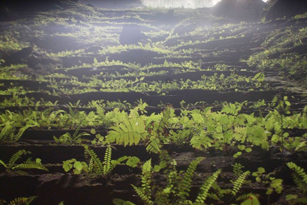 Diverse types of natural tectonic in the cave (Photo: Minh Phong) Sun beam in Son Doong cave (Photo: Minh Phong) Sun beam in Son Doong cave (Photo: Ryal Deboodt) Son Doong cave gate (Photo: Ryal Deboodt) The splendor of Son Doong cave (Photo: Ryal Deboodt) Son Doong cave exploring (Photo: Casten Peter) Night sky in Son Doong cave (Photo: Ryal Deboodt) Inside Son Doong cave (Photo: Minh Phong) The cave with the largest dome (Photo: Ryal Deboodt) The greatness of Son Doong is the holy grail of science (Photo: Howart Limbert) A circular hole on a wall in the cave (Photo: Ryal Deboodt) A stream in the end of the cave