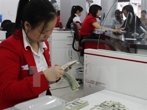 A staff member checks USD notes at Maritime Bank (Photo: VNA)