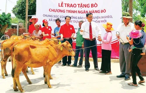 Giúp người nghèo, học sinh hiếu học Tây Nguyên