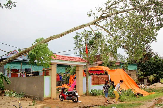 Nghệ An: 6 ngày, 5 đợt dông lốc