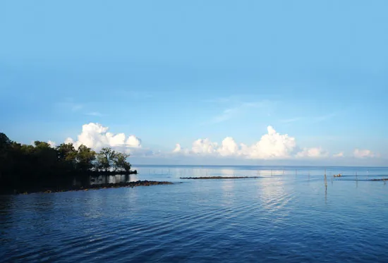 Đất Mũi Cà Mau: Nơi in dấu những đường mây