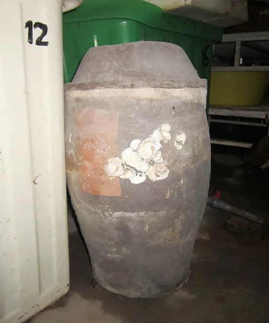 Bí ẩn khu mộ cổ ở Năm Căn