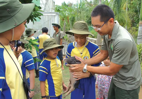 Nông trang hè của bé