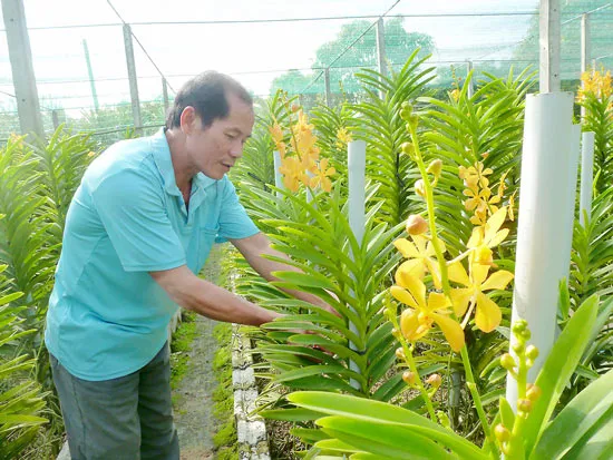 Phải dự báo được cung - cầu nông sản