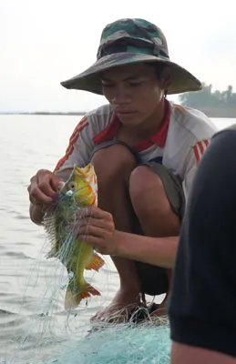 Thâm u rừng, mênh mang nước ảnh 6