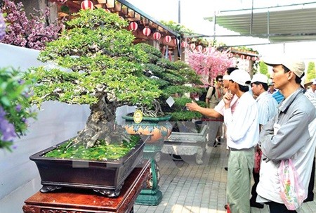 Crafted: Visitors attend the fifth Asia-Pacific Bonsai Festival that kicked off yesterday at Rin Rin Park, a Japanese cultural site, in HCM City. — VNA/VNS Photo An Hieu