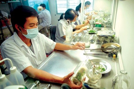 Scientists work at a lab at HCM City Biology Technology Centre. Overseas Vietnamese are encouraged to help implement the application of science and technology to raise Viet Nam's competitiveness. — VNA/VNS Photo Manh Linh