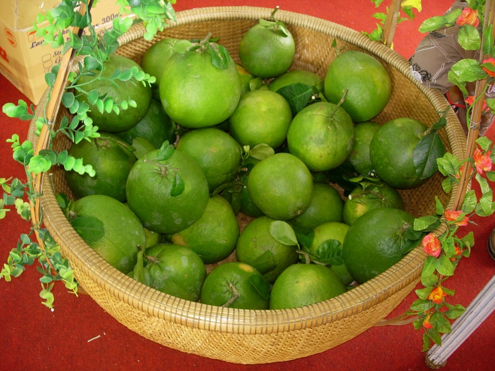 "Lai Thieu in the season of ripe fruits" 2015 is organized in Binh Duong Province. (Photo: KK)
