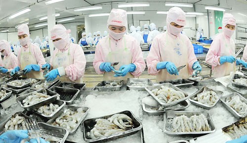 Seafood businesses have many advantages from free trade agreements (Photo: SGGP)