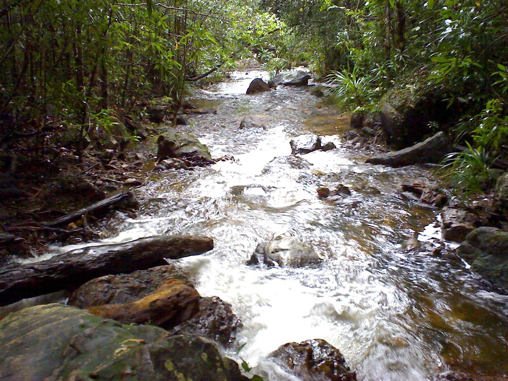 Suoi Tranh (Tranh stream ), one of the tourist attractions in Phu Quoc (Photo: KK)