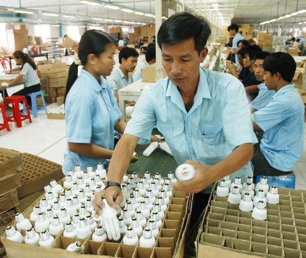 Compact lamp production for exports at Dien Quang Company (Photo: SGGP)