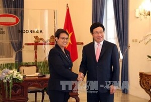 Deputy PM and Foreign Minister Pham Binh Minh (R) and Indonesian Foreign Minister Retno Marsudi (Photo: VNA