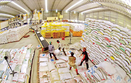 A export rice warehouse in the Mekong Delta (Photo: SGGP)