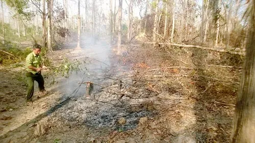 Xử lý cán bộ tiếp tay phá rừng