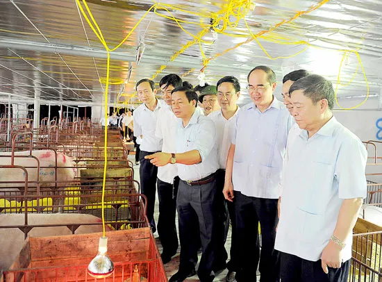 Hồi sinh trên vùng đất cát