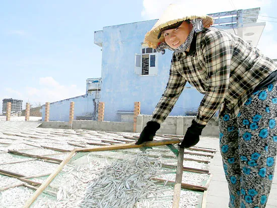 Làng cá cơm Mũi Né