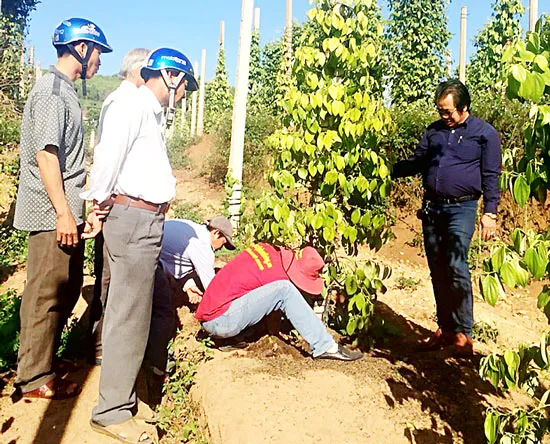 Người “chữa bệnh” cho tiêu