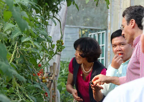 Sản phẩm VietGAP và sự chuyển giao Metro VN