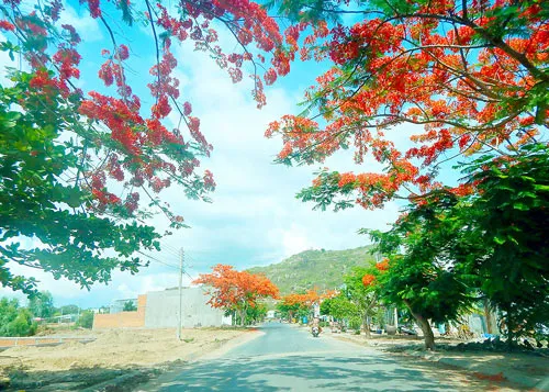 Vững vàng Châu Đốc biên cương