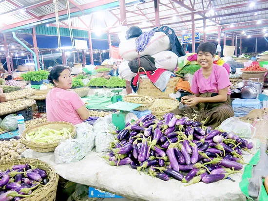 Dự báo chiến lược cho nông sản Việt Nam - Cần thêm góc nhìn từ Myanmar