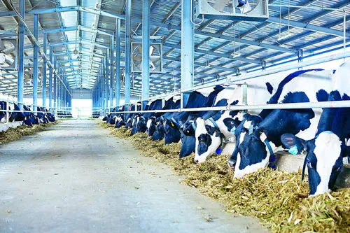 Doanh nghiệp trang trại và hội nhập