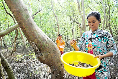 Giúp dân “sống chung” với rừng
