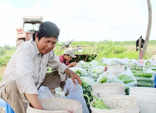 Chuyện ông Trải làm giàu