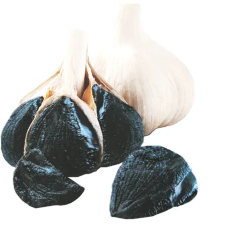 Tỏi đen - Vị thuốc trị bách bệnh