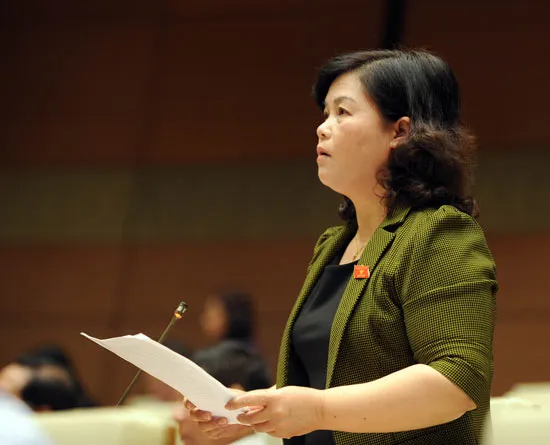 Tranh luận quy định tòa không được quyền từ chối giải quyết ảnh 2