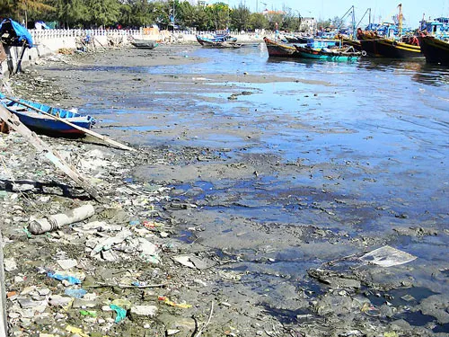 Sông Cà Ty “ngộp thở”