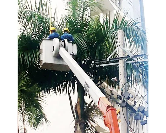 Chủ động ứng phó dông lốc