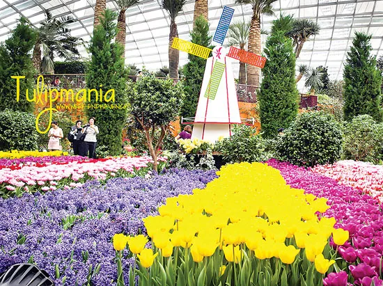 Vui hè cùng SPSC Tour - một hành trình thú vị