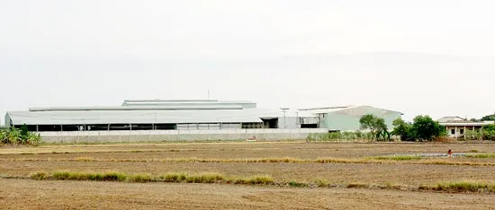 Từ loạt bài Bó tay với “công ty vua” ở Long An? - UBND tỉnh chỉ đạo lập đoàn kiểm tra