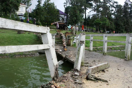 Đà Lạt: Gió giật làm đổ nhiều cây xanh, sập nhà dân