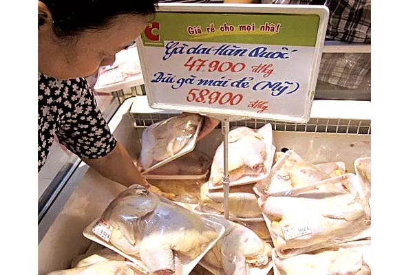 Băn khoăn thịt gia cầm ngoại