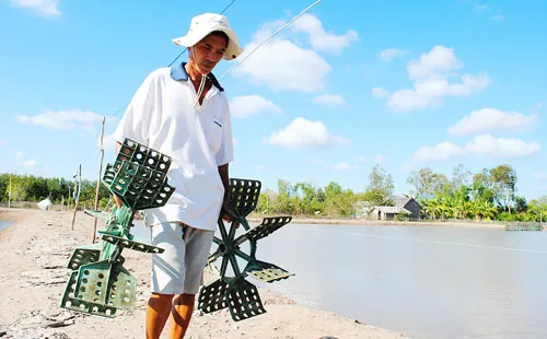 Tìm giải pháp giúp con tôm phát triển bền vững