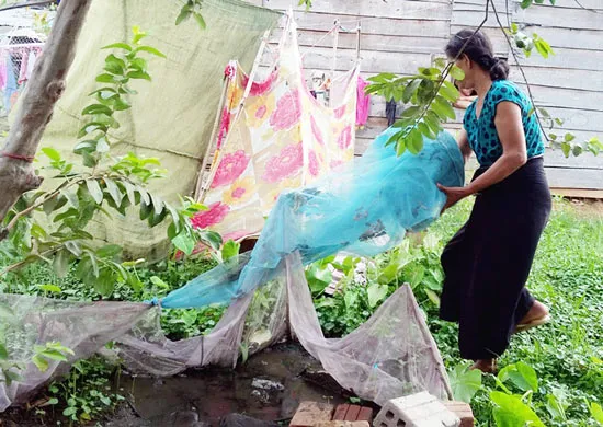 Dân chê mùng chống muỗi
