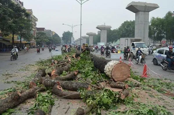 Yêu cầu giáng chức nhiều cán bộ, buộc thôi việc một người