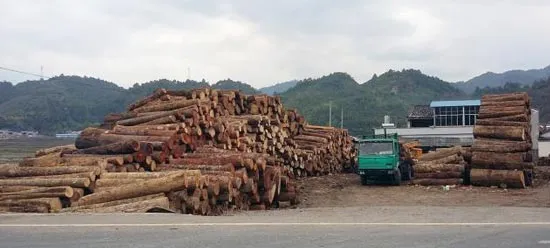 Myanmar kết án chung thân 153 người Trung Quốc